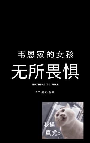 （综英美同人）[综英美]韦恩家的女孩无所畏惧