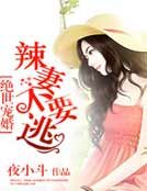 絕世寵婚:辣妻,不要…