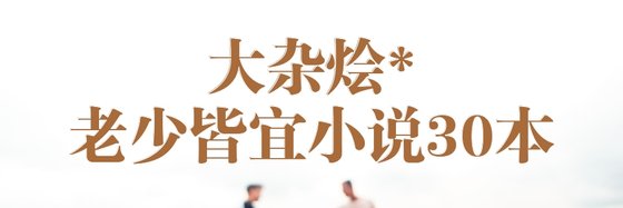 大杂烩*老少皆宜小说30本