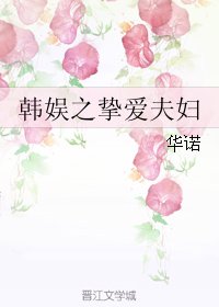 (韓娛同人)韓娛之摯哎夫雕