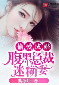 《偷愛成婚:腹黑總裁迷糊妻》