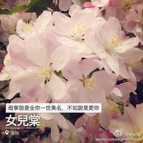 女兒棠