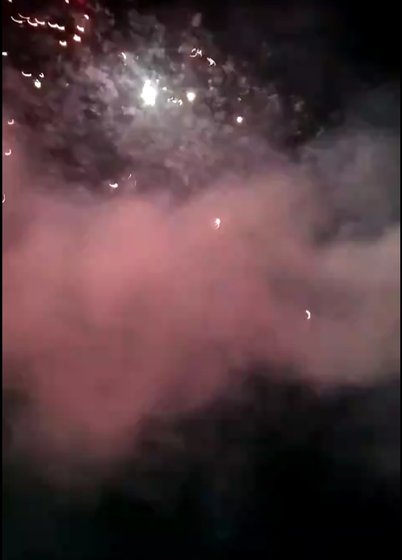 無所集