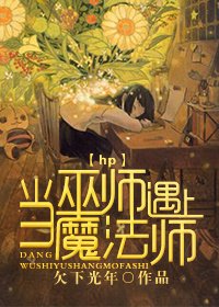 hp当巫师遇上魔法师