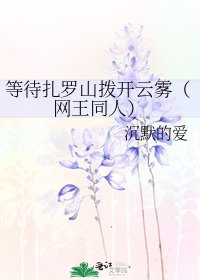 等待扎罗山拨开云雾(网王同人)