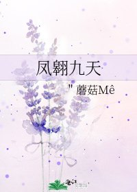 《鳳翱九天》