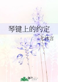 琴键上的约定
