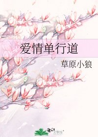 《愛情單行道》