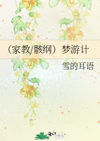 (家教/骸纲)梦游计