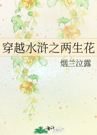 《穿越水滸之兩生花》