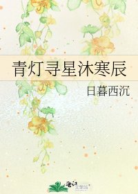 青灯寻星沐寒辰