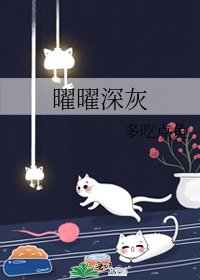 《曜曜深灰》