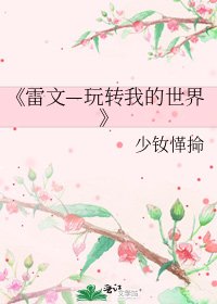 雷文—玩轉我的世界