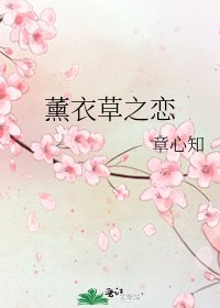 薰衣草之戀
