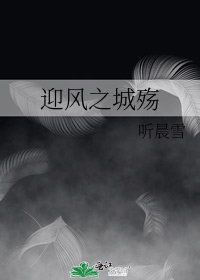 迎风之城殇