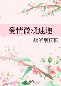 《愛情微觀速遞》