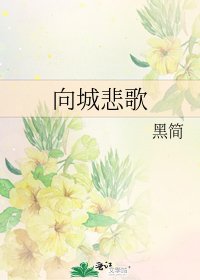 《向城悲歌》