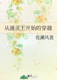 《從通靈王開始的穿越》