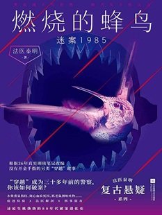 燃烧的蜂鸟:迷案1985(出书版)