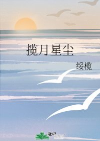 攬月星塵