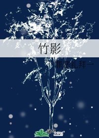 竹影