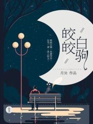 皎皎撼駒