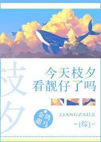 （BG/綜漫同人）[綜]今天枝夕看靚仔了嗎